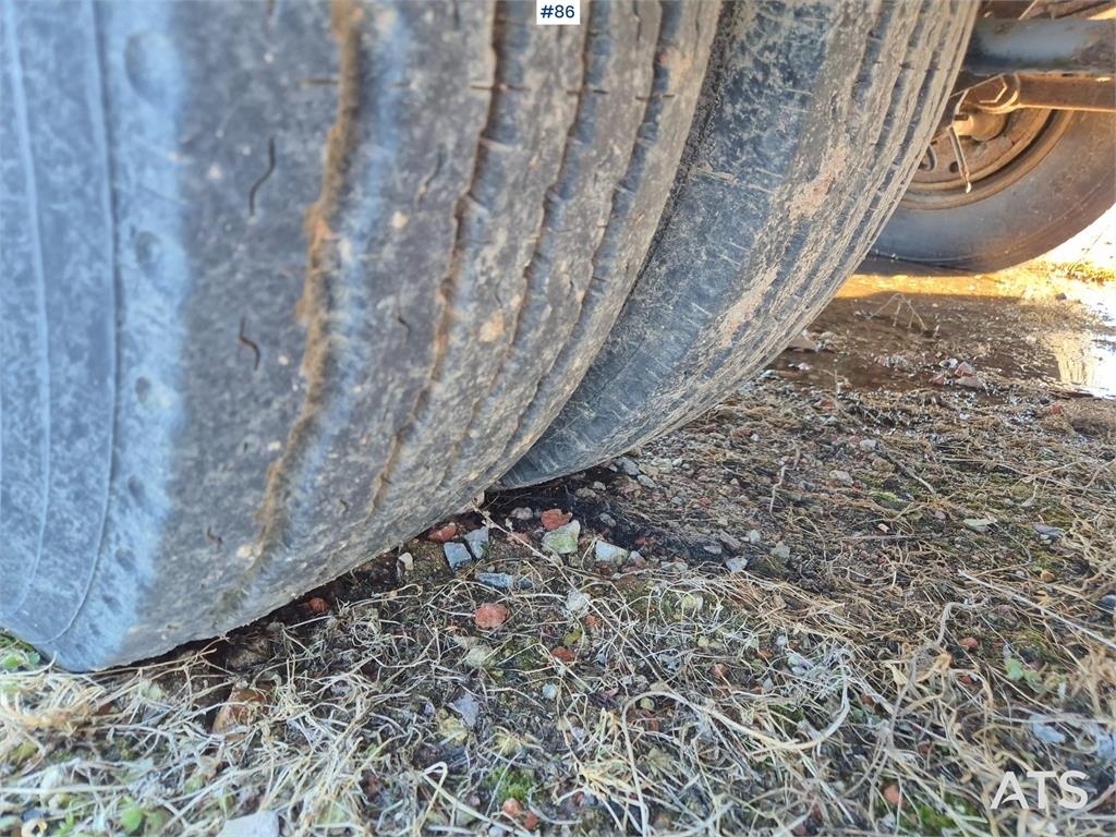 Limeträd kuva 11